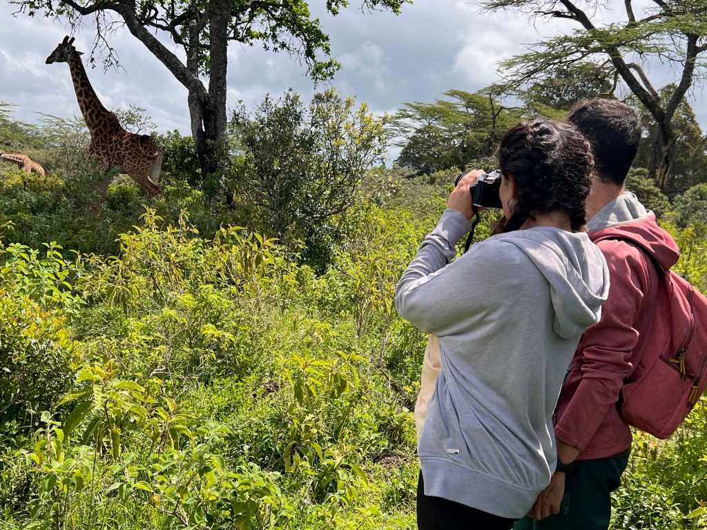 Código de conducta en un safari