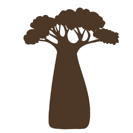 Raíces de Baobab